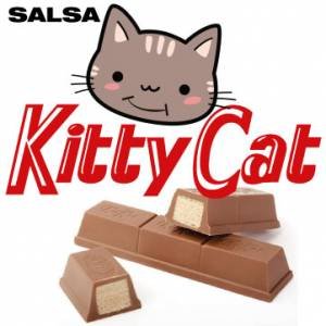 SALSA KITTY CAT 6KG